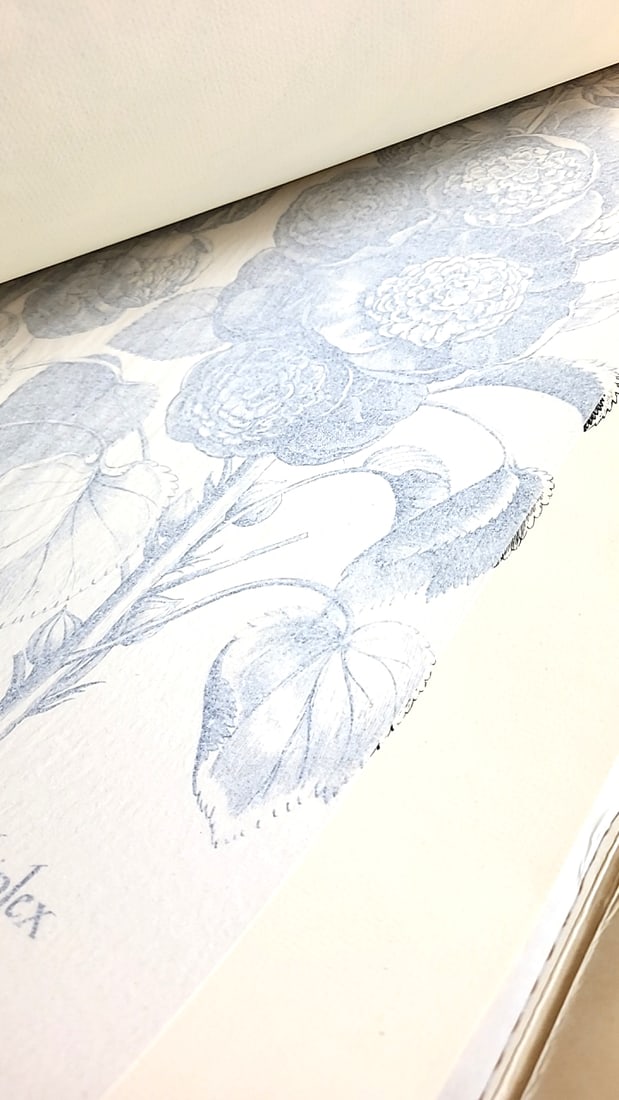 Vintage 1977 Flowers Giant Coloring Portfolio Botanical Engravings Collection 22" x 17" - 6