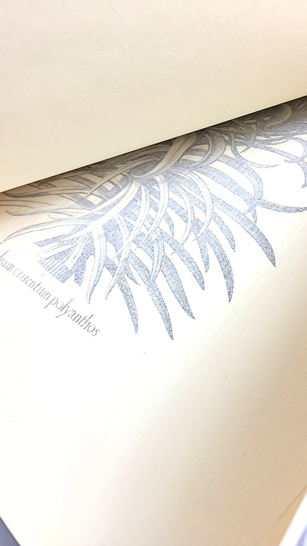 Vintage 1977 Flowers Giant Coloring Portfolio Botanical Engravings Collection 22" x 17" - 7