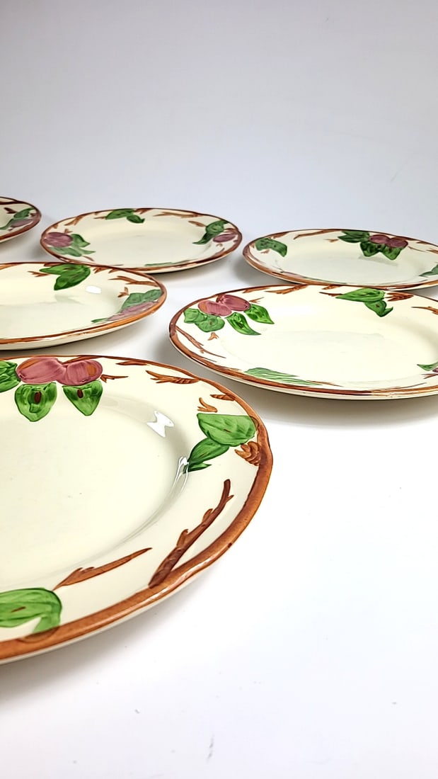 Set Of 8 Franciscan "Apple" 10.5" Ceramic Dinner Plates ðŸ½ ðŸ˜& - 3