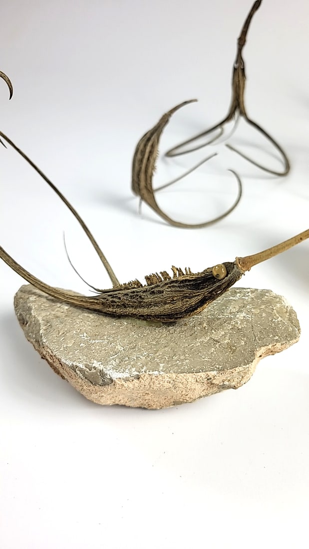 Vintage Handcrafted Driftwood and Stone Sculptures Set - Squid? - Unique Art Decor - 5