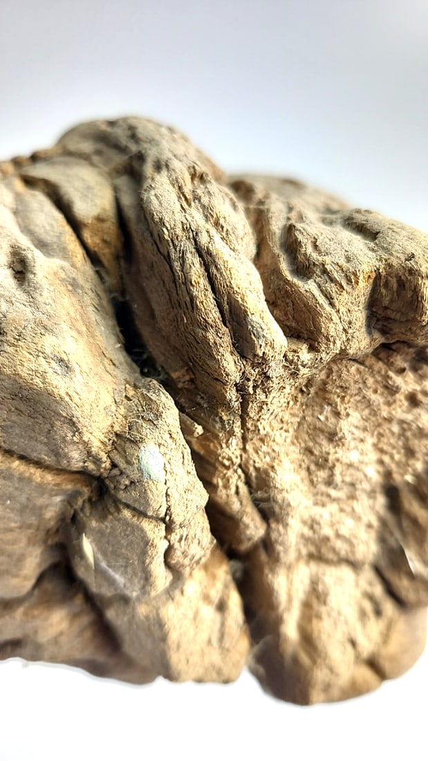 Driftwood Piece 30" Long .... Looks Like A Handmade Torch ... It's Not - 4