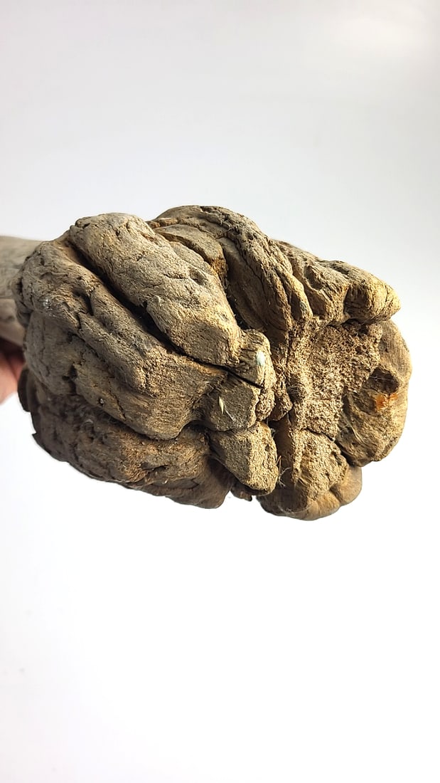 Driftwood Piece 30" Long .... Looks Like A Handmade Torch ... It's Not - 5