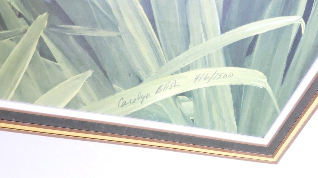 Carolyn Blish Signed Iris Winds Painting 416/500 40" x 31" Framed Glass Wood - 2