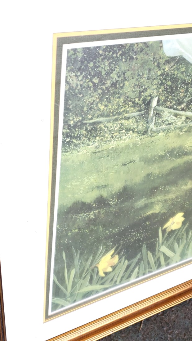 Carolyn Blish Signed Iris Winds Painting 416/500 40" x 31" Framed Glass Wood - 6