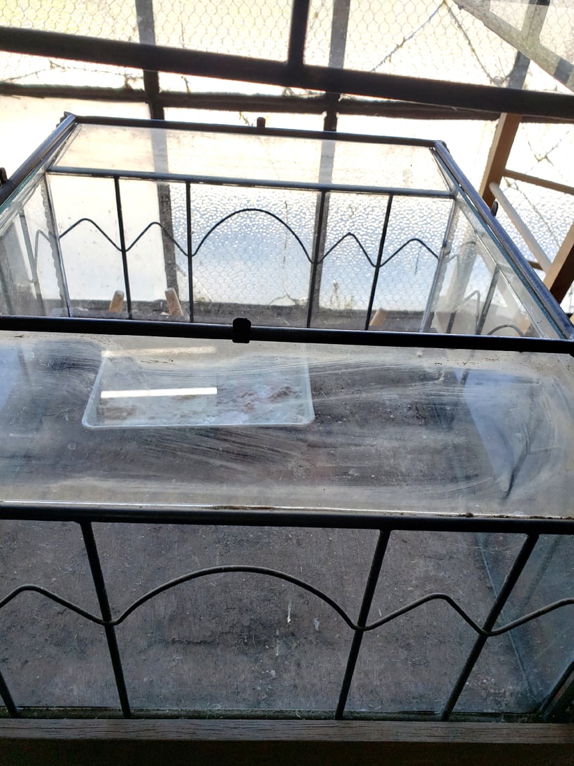 Vintage Terrarium / Aviary Iron Trim With Glass Panels & Wood Base - Heavy 25 Pounds Or So - 5