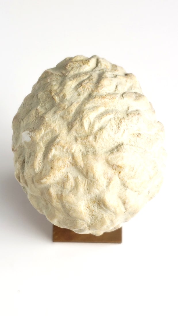 Small Roman-Style Alvastone Head Bust on Wooden Plinth - 5