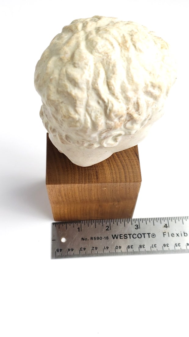 Small Roman-Style Alvastone Head Bust on Wooden Plinth - 8