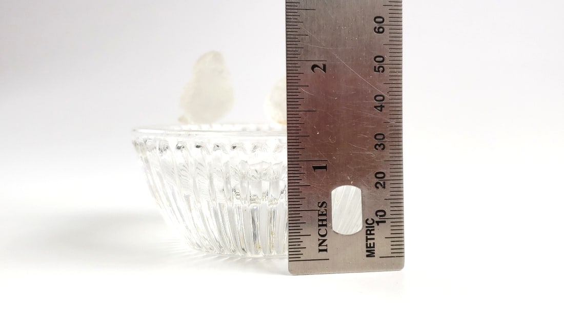 Glass Bowl Dish with Two Frosted Bird Figurines on Rim - 6