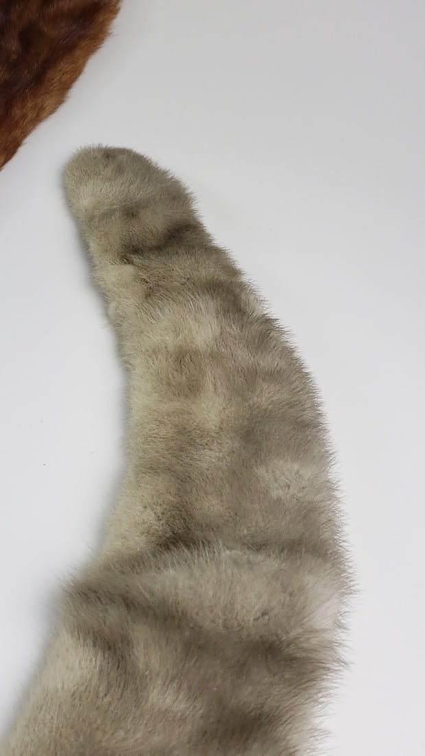 Two Vintage Fur Stoles: Brown and Gray Mink Accessories - 6