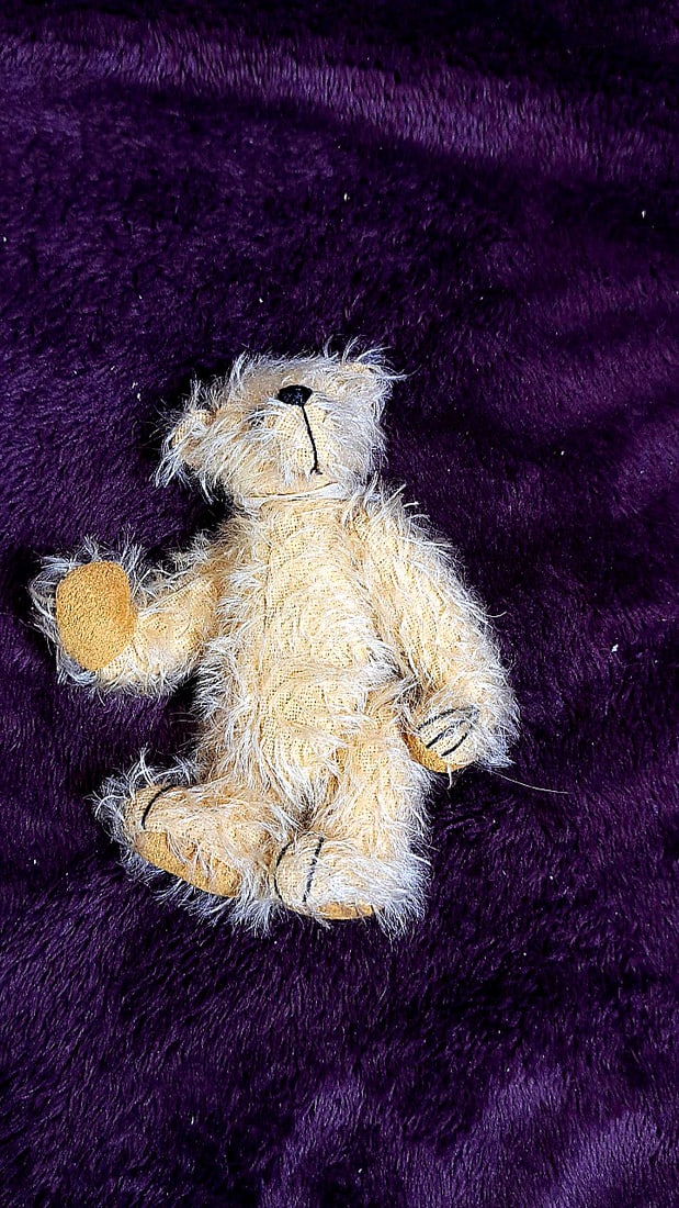 Karen Anderson Blandford Freezia Doll With Coa And Stuffed Bear - 13