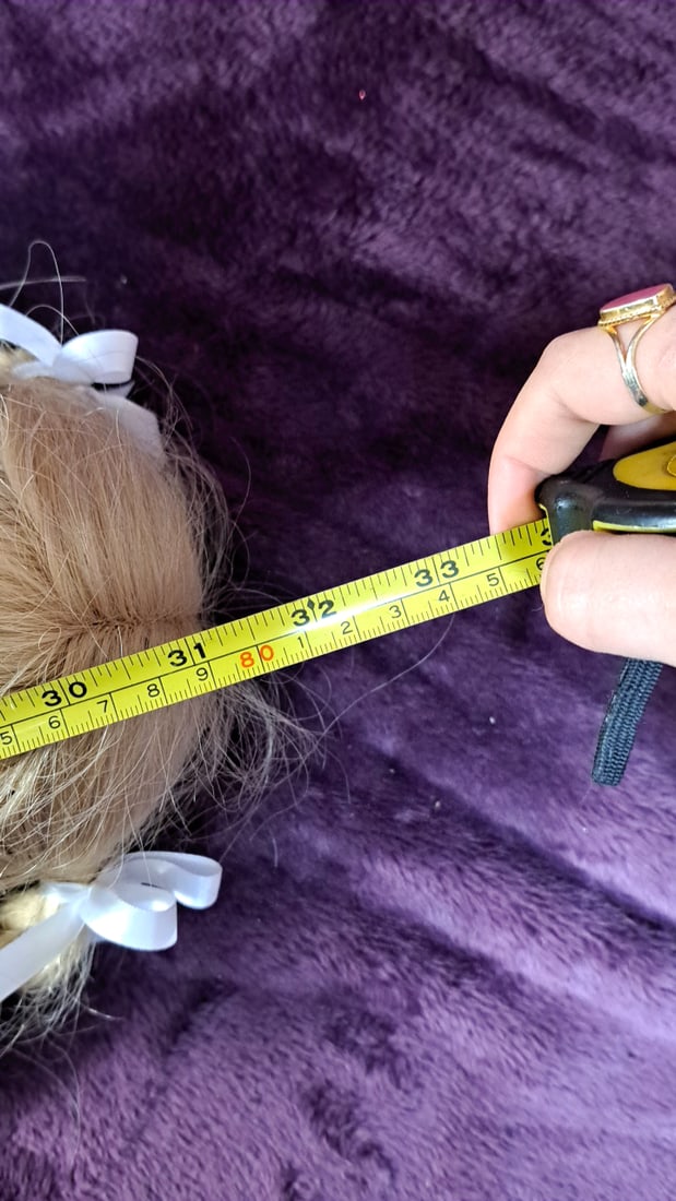 Karin Schmidt Ganseliesel Doll With Coa - 15