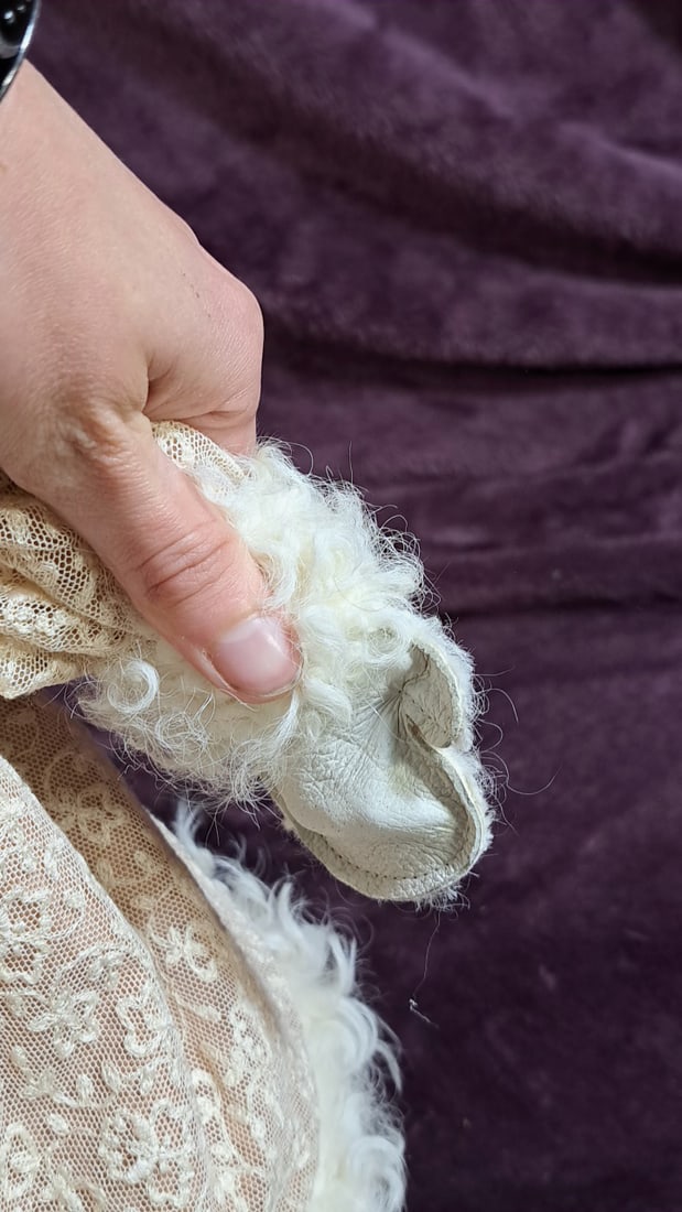 Wax Over Porcelain Doll With Winter Clothes - 2