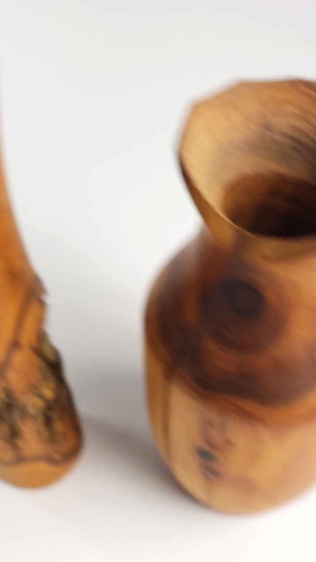Pair of Turned Wood Natural Edge Vases with Bark Detail - 6