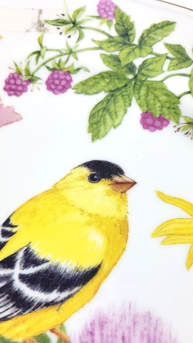 Andrea by Sadek The Songbird Collection Elizabeth Golz Rush Goldfinch Floral Plate 10" - 7