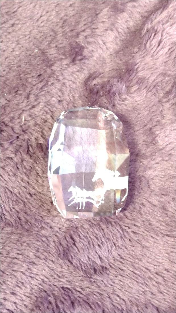 Swarovski Scs Membership Gift 2014 Crystal Horse Foal Plaque 5004732 - 3