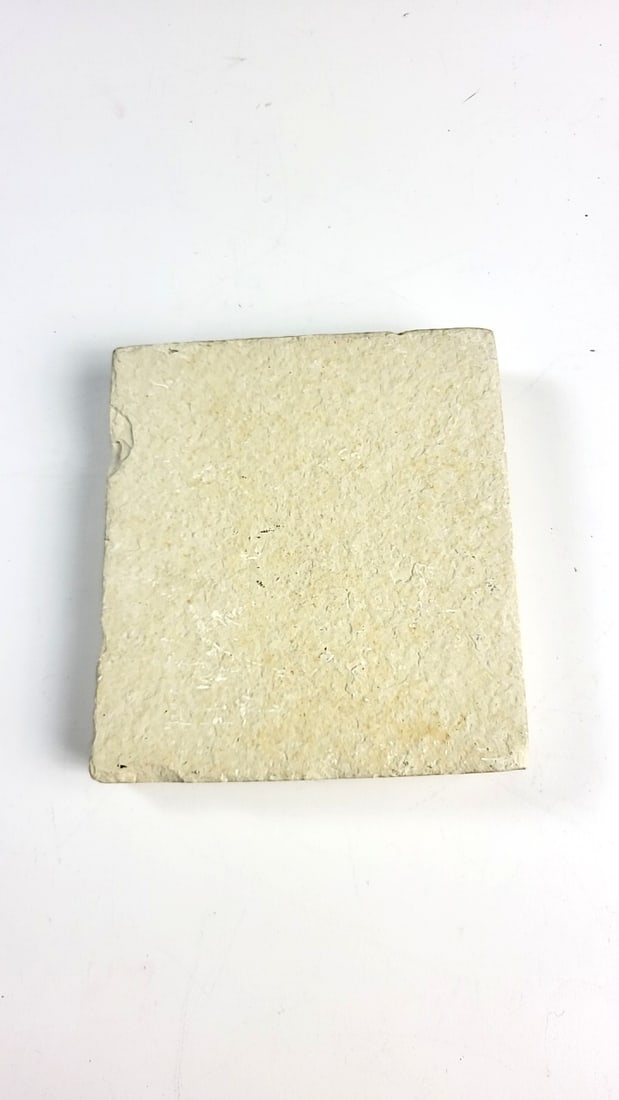 Multi Fish Fossil Limestone Slab, Approx. 4 X 3 In - 9