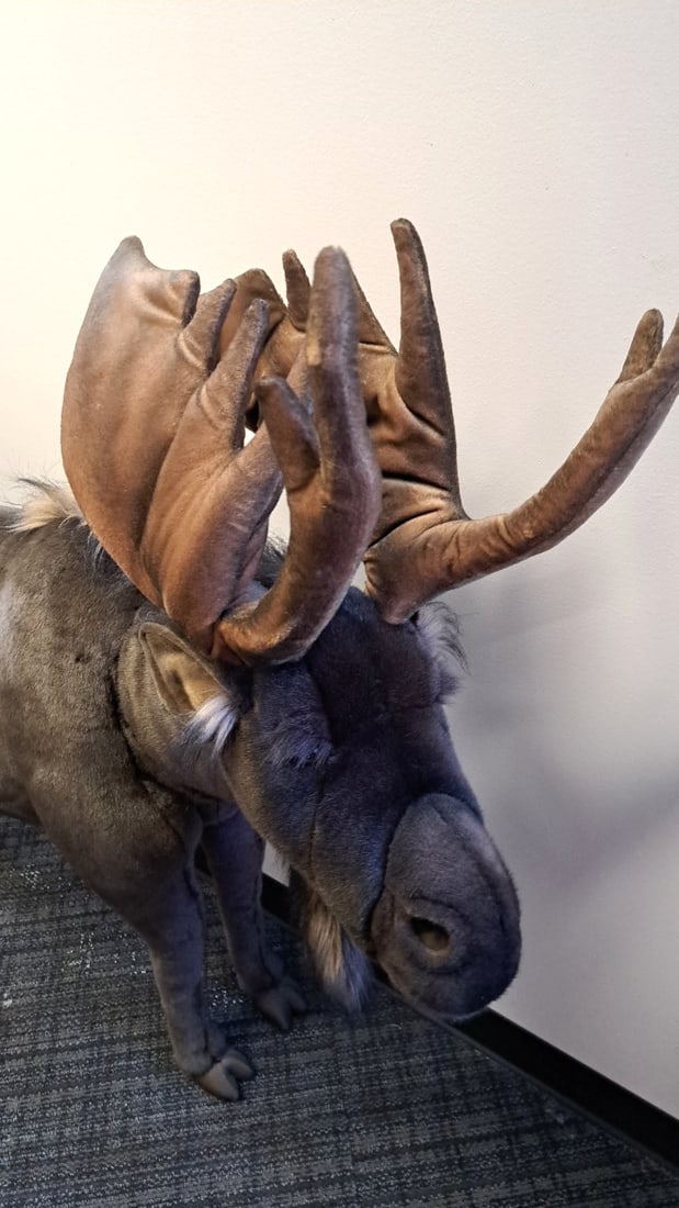 Hansa International Large Brown Plush Moose Stuffed Animal With Antlers 48 In - 2