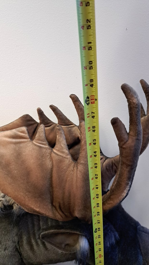 Hansa International Large Brown Plush Moose Stuffed Animal With Antlers 48 In - 5