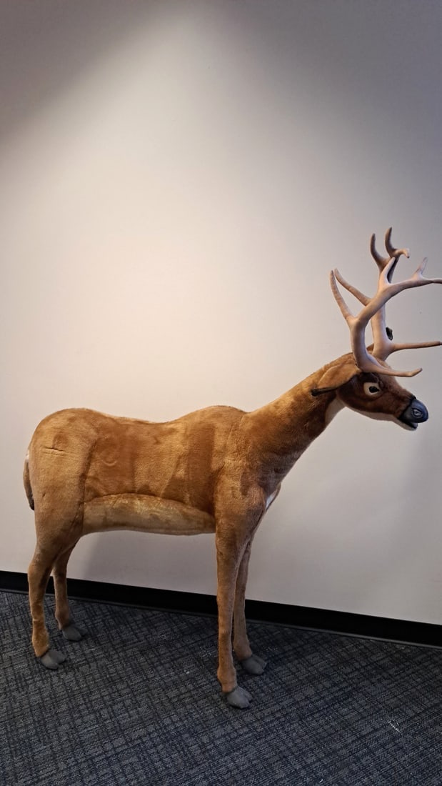 Hansa Toy International Large Plush Reindeer Caribou Standing Deer With Antlers 64 In: 60 x 64 x 20 18 lb we have gained a lot of experience shipping dolls from our previous auction. We offer in-house shipping. The shipping price shown in the listing is the liveshipping service by