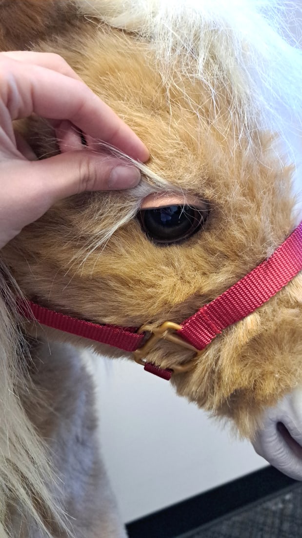 Furreal Friends Interactive Plush Pony Horse Tan White Mane Red Halter Battery Operated - 6