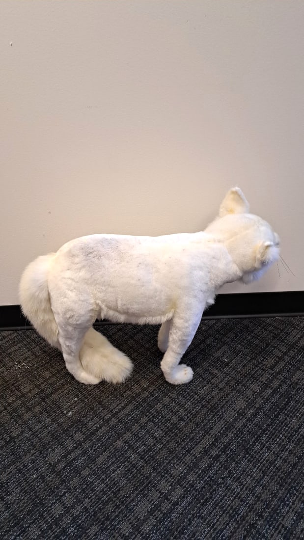 Hansa Toy International White Arctic Fox Plush Stuffed Animal, 24 In - 2