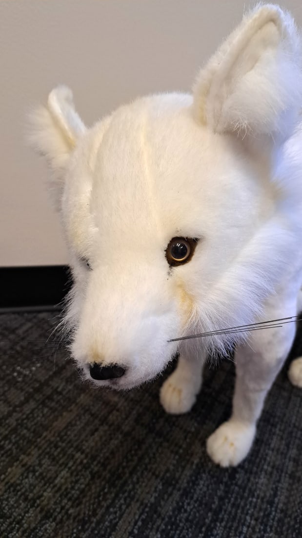 Hansa Toy International White Arctic Fox Plush Stuffed Animal, 24 In - 6