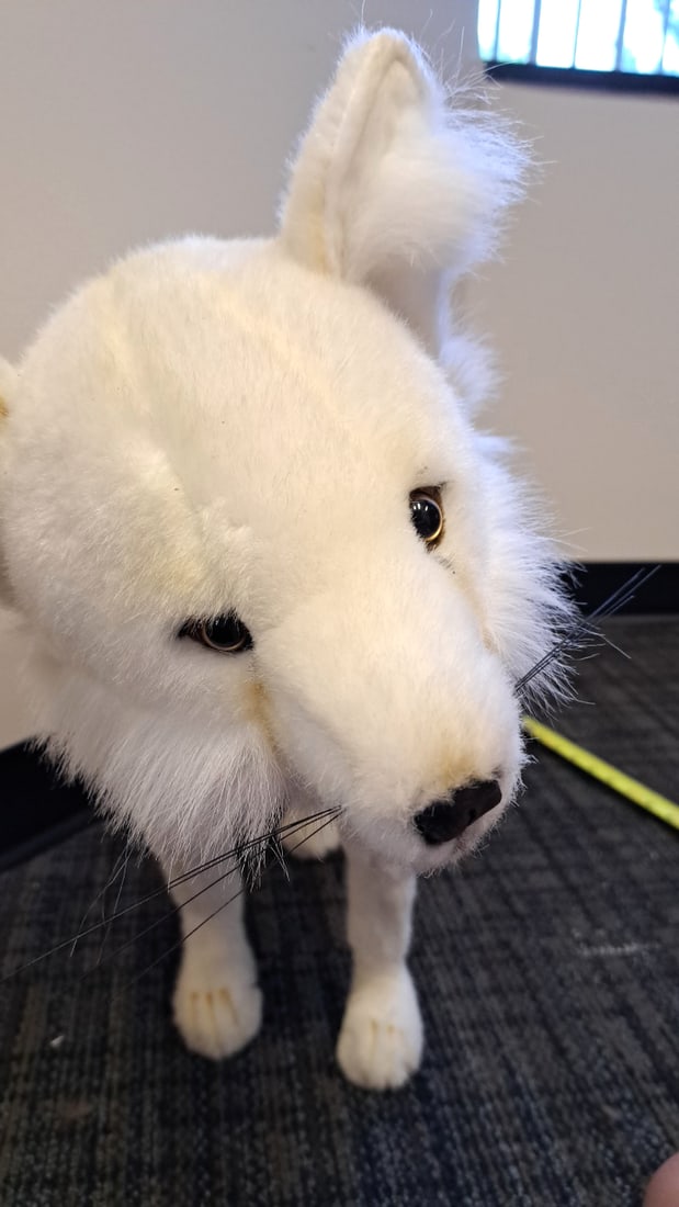 Hansa Toy International White Arctic Fox Plush Stuffed Animal, 24 In - 7