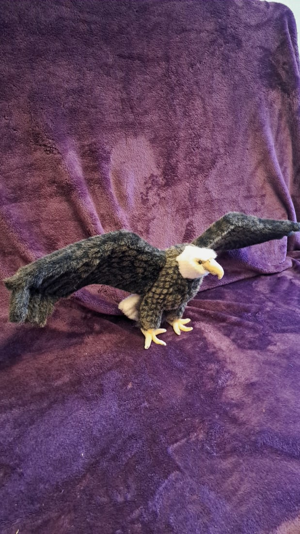 Bald Eagle Plush Stuffed Animal With Outstretched Wings, 30 In Wingspan: 31 x 12 x 12 1 lb we have gained a lot of experience shipping dolls from our previous auction. We offer in-house shipping. The shipping price shown in the listing is the liveshipping service by