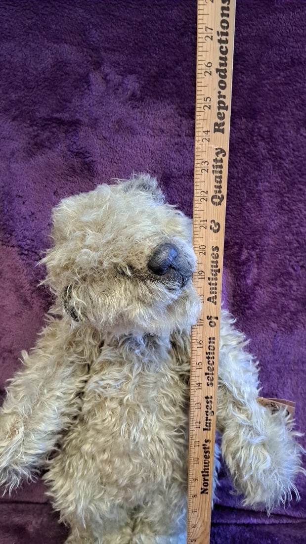 Beige Curly Fur Teddy Bear Plush With Handwritten Artist Tag 16 In - 2