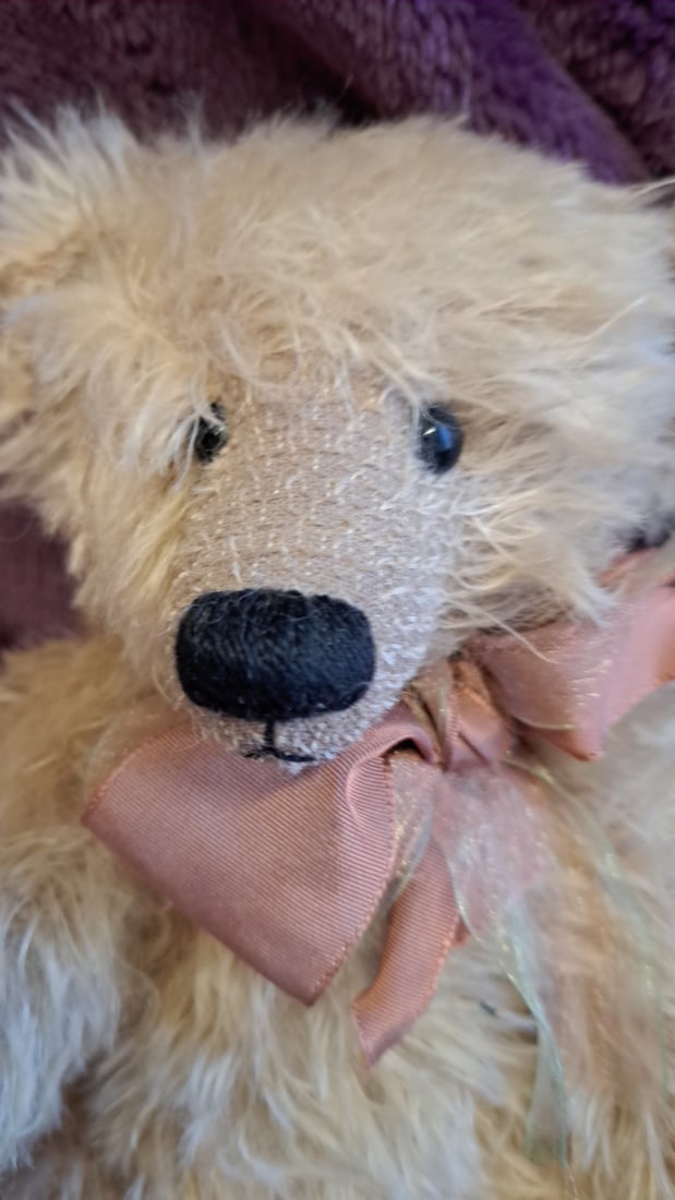 Cream Shaggy Mohair Teddy Bear With Pink Bow And Paw Pads, Approx. 13 In - 5