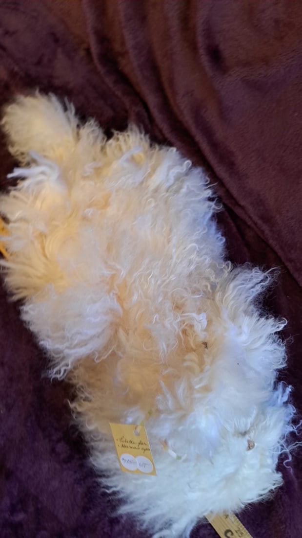 Wendy Brent Pyewacket Ii White Tibetan Fur Cat Plush German Eyes 1/50 - 6