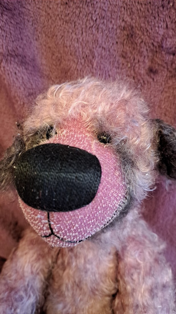 Hildegard Gunzel Fridolin Teddy Bear 13/50 Limited Edition Pink Mohair 2002 Coa - 7