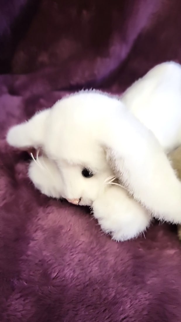 Mary Holdstad Artist Plush Bunnies - 3