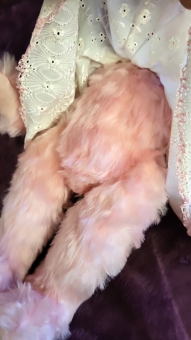Geneva Wrad Pink Plush Artist Bear Stuffed Animal With White Eyelet Dress And Pink Bow - 4