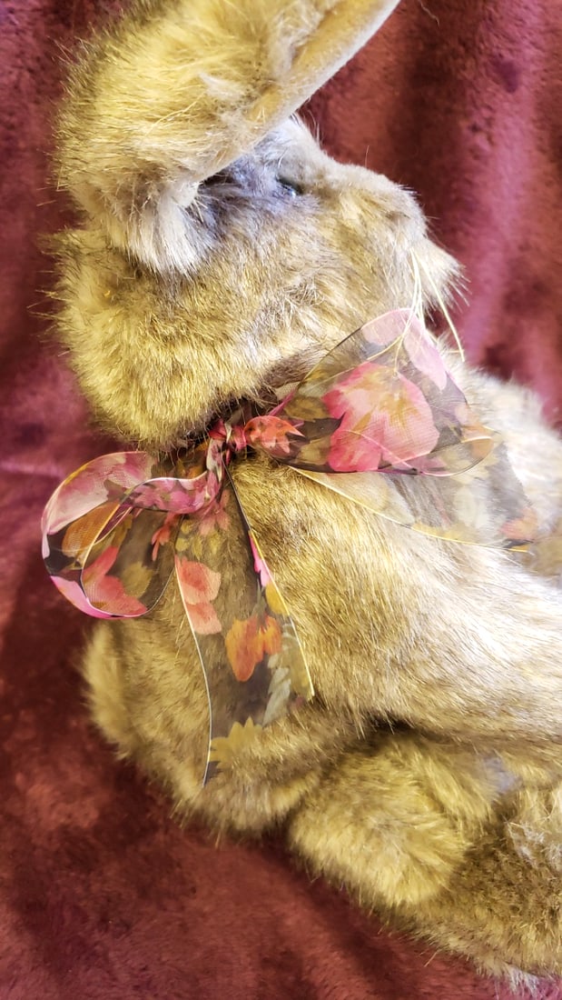 Gray Plush Rabbit Bunny With Floral Sheer Ribbon Bow, Approx. 13 In - 3