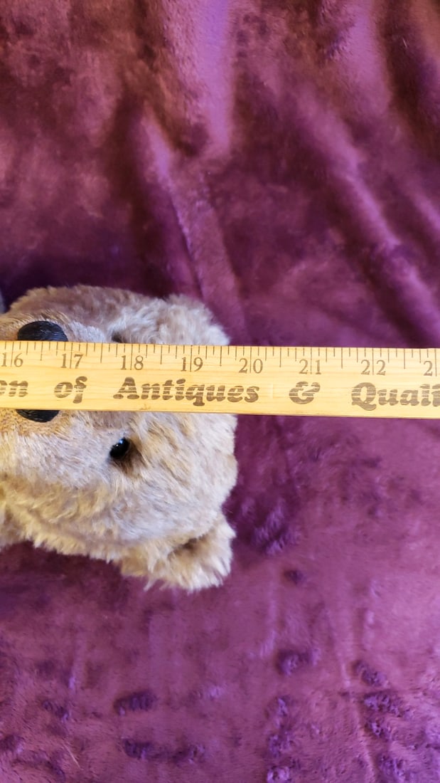 Jonston Beige Plush Teddy Bear With Black Nose, Approx. 18 In - 2