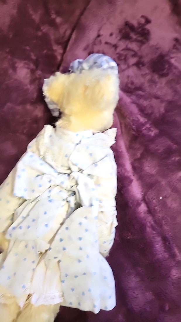 Rene Williams Artist Bear In Blur Dress - 5