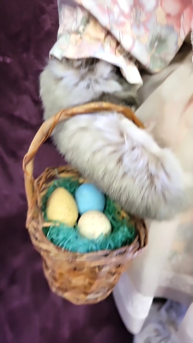 Kayla Thiel Bender Bunny Ap Beaver Valley With Easter Basket - 3