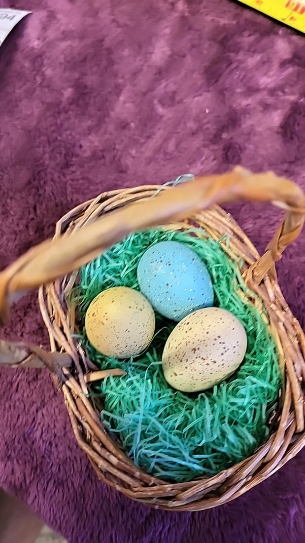 Kayla Thiel Bender Bunny Ap Beaver Valley With Easter Basket - 9