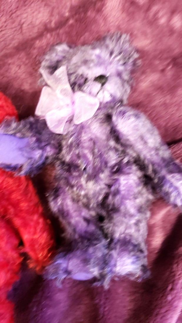 Pair Of Artist Plush Bears By Penny Zegleis - 3