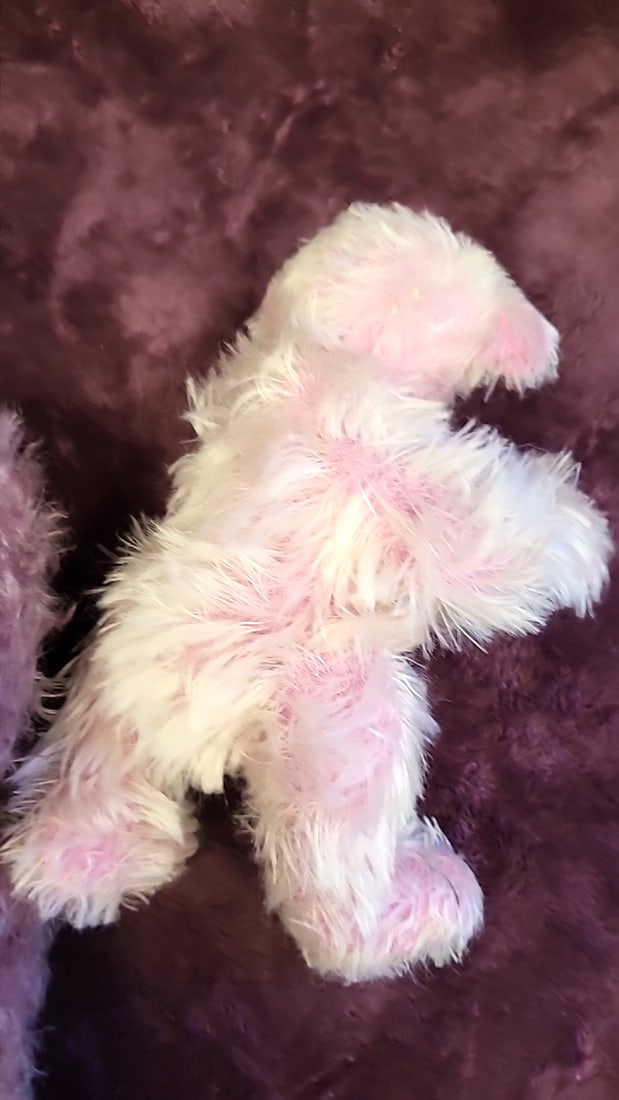 Hildegard Gnzel Teddybr Kollektion Plush Dog Pair With Zertifikat, Purple Noses - 8