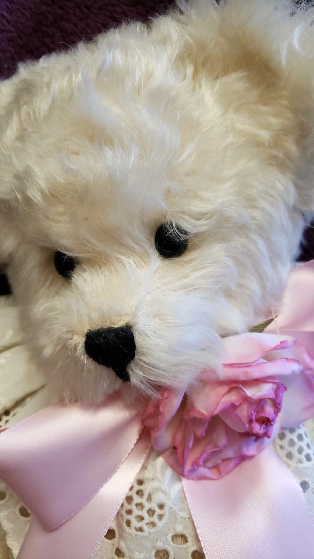 Nacy Rygg Beverly Port Cream Teddy Bear Plush With Pink Bow, Rose Lace Collar - 5