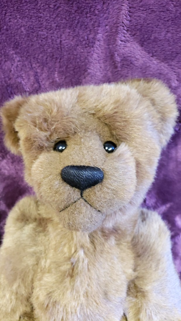 Lexington Plush Artist Bear By The Andersons Large - 2