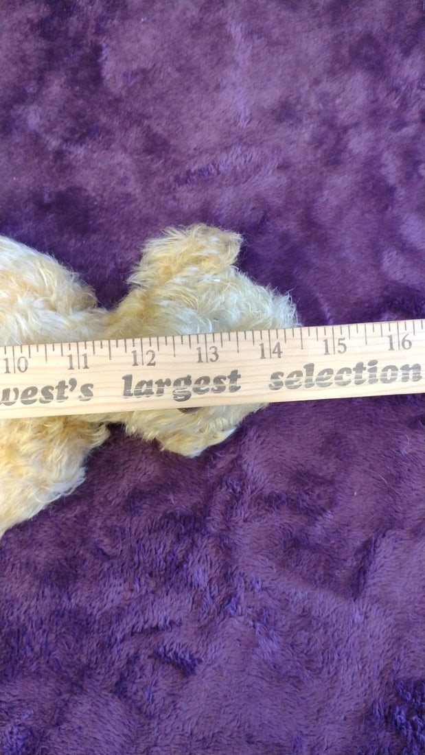 Bev Dodd Golden Curly Mohair Jointed Teddy Bear Plush With Leather Tag Jacob, 13 In - 2
