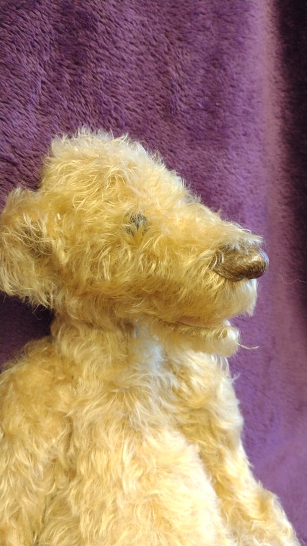 Bev Dodd Golden Curly Mohair Jointed Teddy Bear Plush With Leather Tag Jacob, 13 In - 6