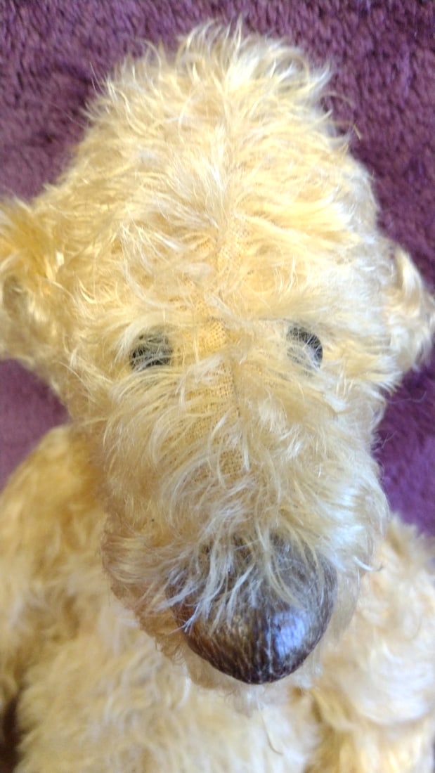 Bev Dodd Golden Curly Mohair Jointed Teddy Bear Plush With Leather Tag Jacob, 13 In - 7