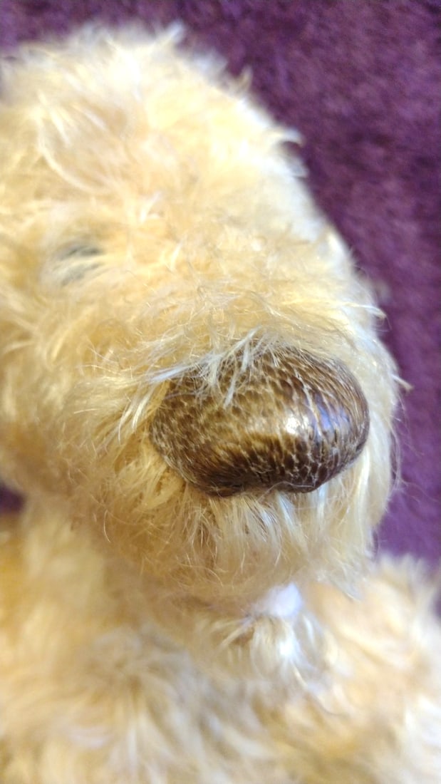 Bev Dodd Golden Curly Mohair Jointed Teddy Bear Plush With Leather Tag Jacob, 13 In - 8