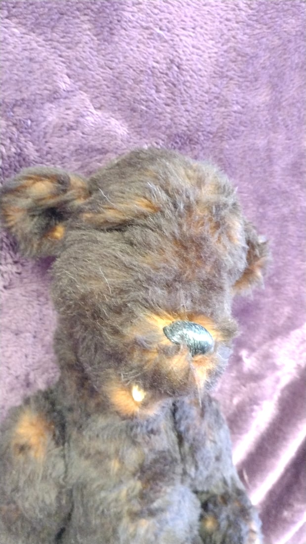 Signed Artist Plush Teddy Bear Large - 2
