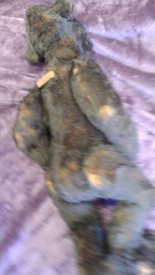 Signed Artist Plush Teddy Bear Large - 6