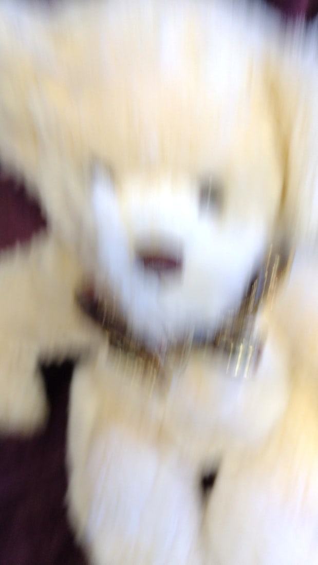 Geneva Wood Artist Plush Teddy Bear With Bow - 2